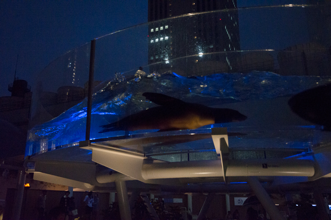 サンシャイン水族館 サンシャイン水族館